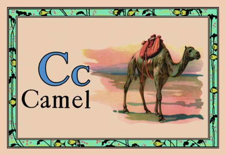 Camel 1926
