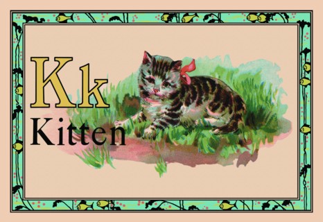 Kitten 1926