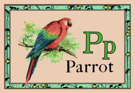 Parrot 1926