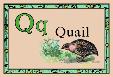 Quail 1926
