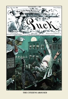 Puck Magazine: The Citizens Aroused 1882