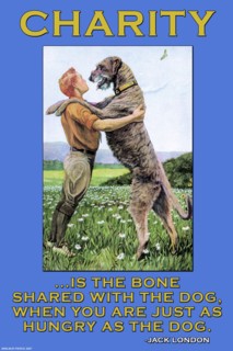 Charity: A Bone to the Dog 2005