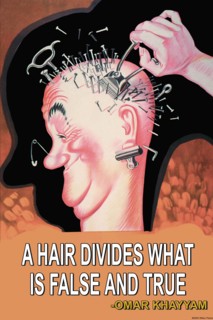 Hair Divides 2005