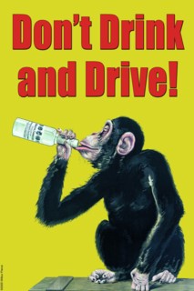 Don't Drink And Drive 2005