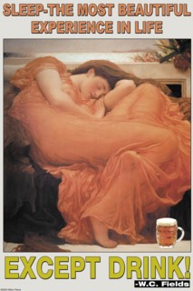 Sleep the Most beautiful experience in life except drink 2005