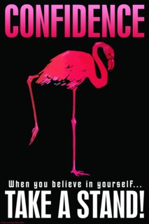 Confidence 2008