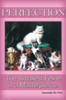 Perfection; The Smallest Feline is a Masterpiece 2006