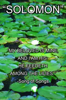 Solomon - Song of Songs 2008