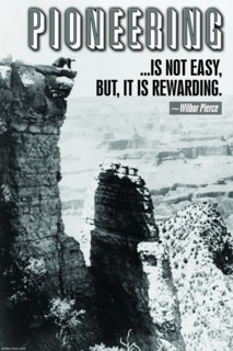 Pioneering 2008