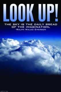 Look Up 2008