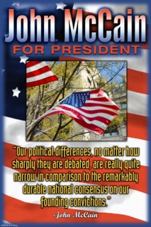 Political Differences 2008