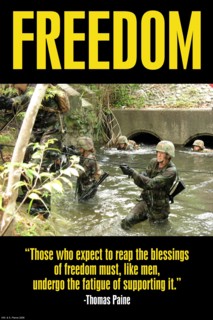 Freedom 2008