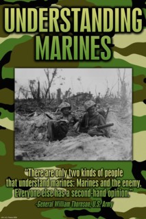 Understanding the Marines 2008