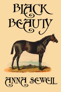 Black Beauty 2008