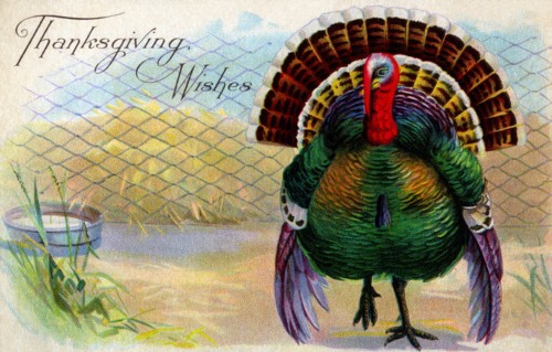 Thanksgiving Wishes