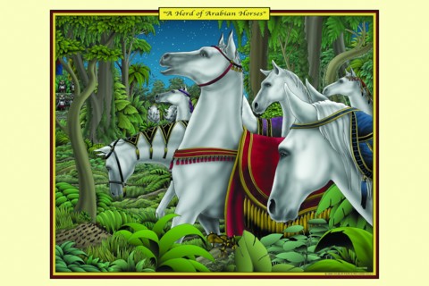 Herd of Arabian Horses 2006