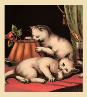 Greedy Kitten 1877