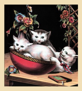 Merry Kitten 1877
