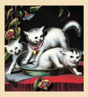 Frightened Kittens 1877