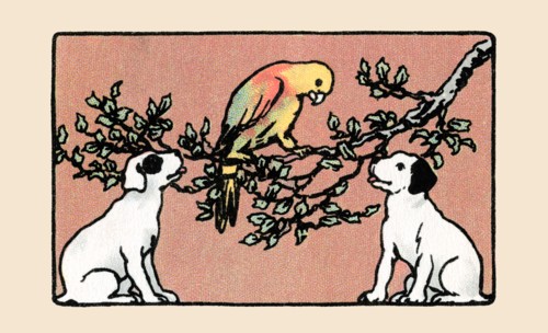 Snip and Snap and the Poll Parrot 1914