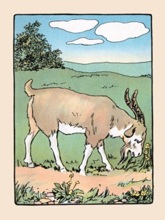 Brother Bill the Billy Goat 1914