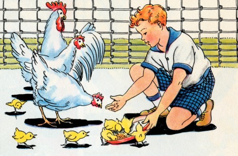 Feeding the Chickens 1938