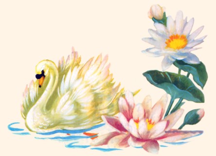 Swan Swimming By Pond Flowers 1935