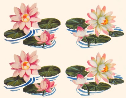 Four Water Lilies 1935