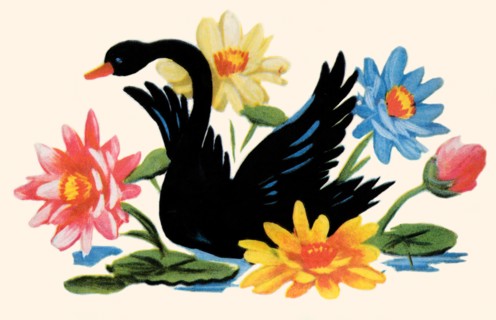 Black Swan 1935