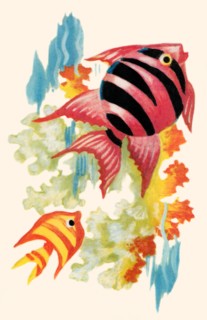 Tropical Fish 1935