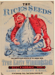 Try Rice's Seeds