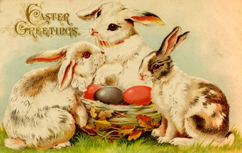 Easter Greeting Card