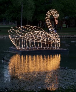 Swan graces the water in the Spring Park, Tuscumbia, Alabama 2010