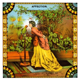 Affection
