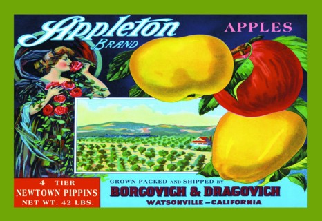Appleton Brand Apples