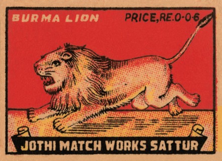Burma Lion