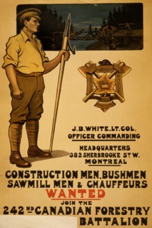 Construction men, bushmen, sawmill men & chauffeurs wanted. Join the 242nd Canadian Forestry  1915