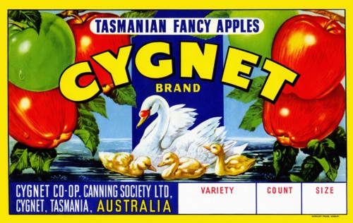 Cygnet Tasmanian Fancy Apples