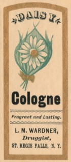 Daisy Cologne