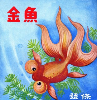 Fancy Bubble Eye Goldfish 1950