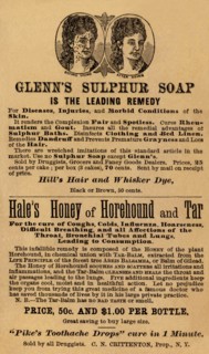 Glenn's Sulphur Soap is the Leading remedy 1890