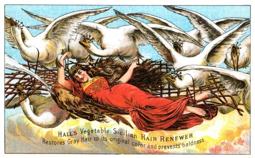 Hall's Vegetable Sicillian Hair Renewer