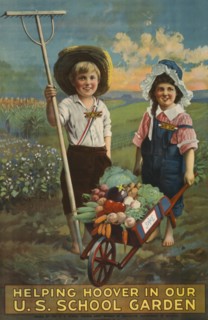 Helping Hoover in our U.S. school garden  1919