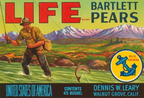 Life Brand Bartlett Pears