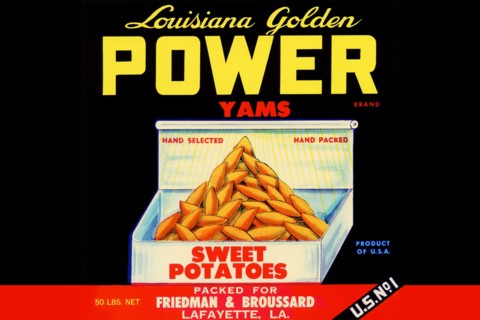 Louisiana Golden Power Yams
