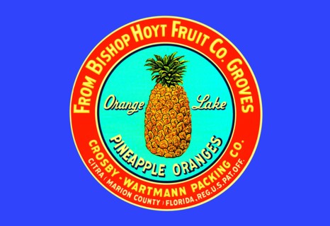 Orange Lake Brand Pineapples