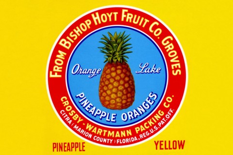 Orange Lake Pineapple Oranges