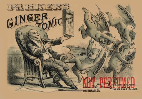Parker's Ginger Tonic