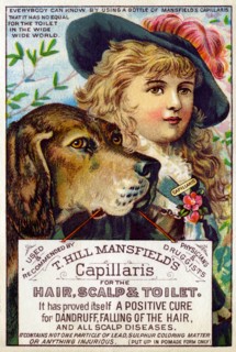 T. Hill Mansfield's Capillaris 1890