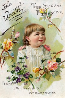 Teeth; Their Care and Preservation 1891